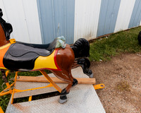 Horse 1 (25)