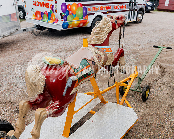 Horse 5 (5)