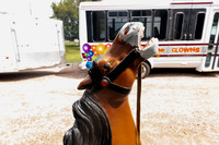 Horse 1 (16)