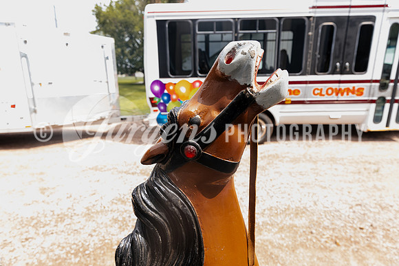 Horse 1 (16)