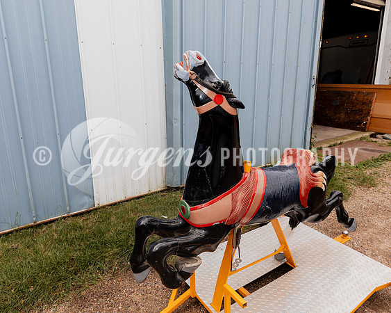 Horse 4 (2)