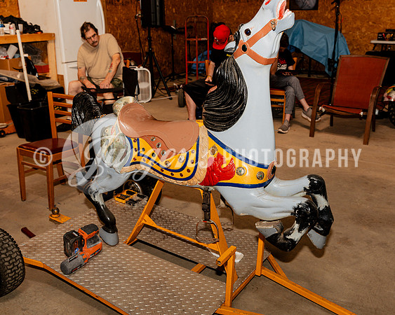 Horse 6 (1)