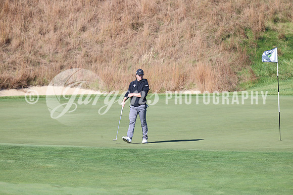 1DX13602