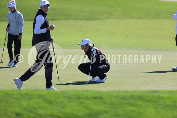 1DX14178