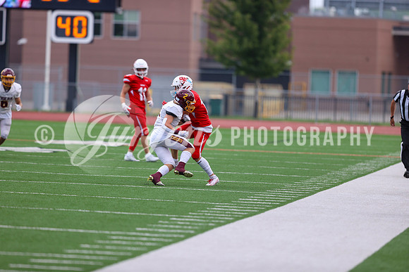 1DX18959