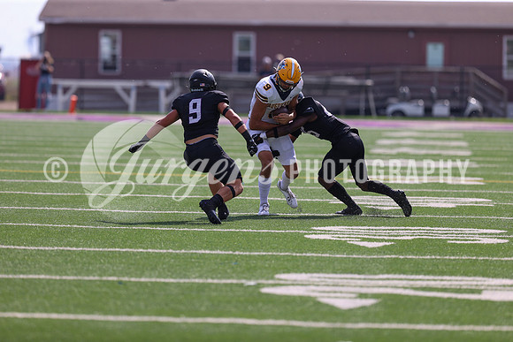 1DX14186