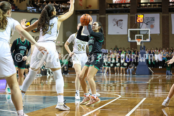 1DX28979