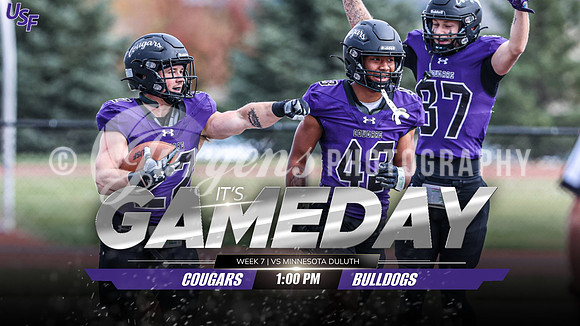 fb vs minnesota duluth