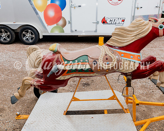 Horse 5 (6)