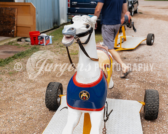 Horse 3 (18)