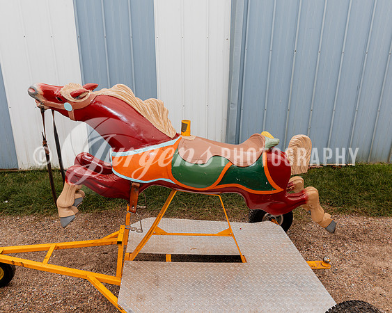 Horse 5 (1)