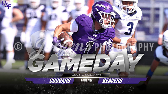 vs Beavers