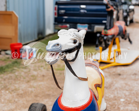 Horse 3 (19)