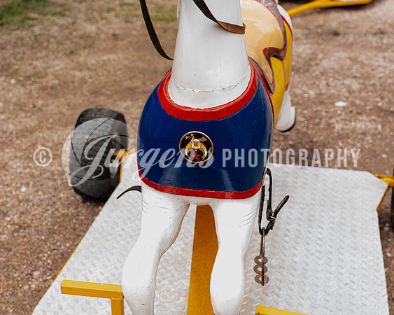 Horse 3 (20)