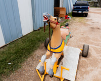 Horse 2 (13)