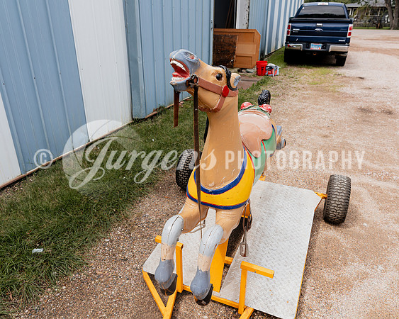 Horse 2 (13)