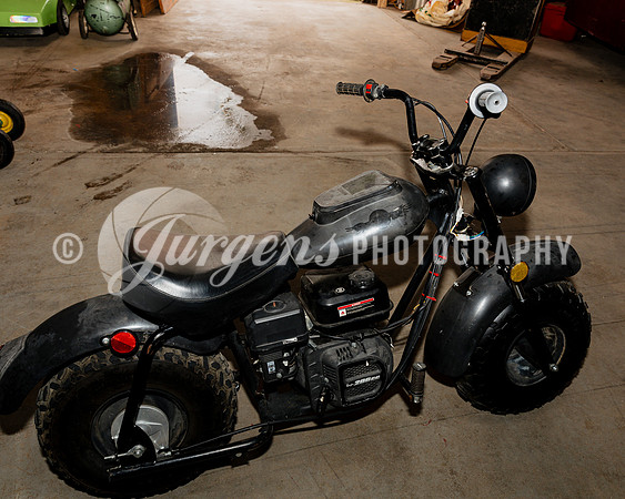 Mini Bikes (3)