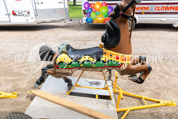 Horse 1 (19)