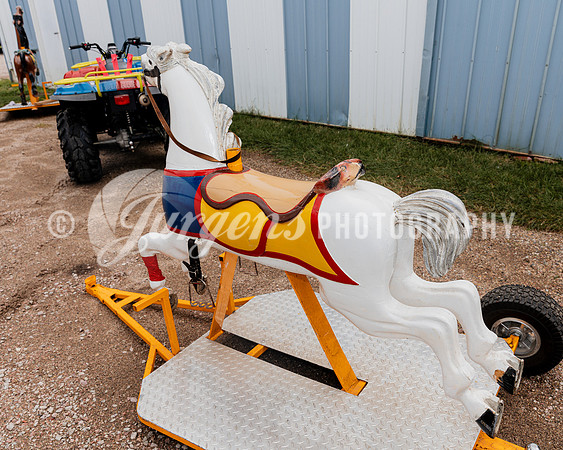 Horse 3 (11)