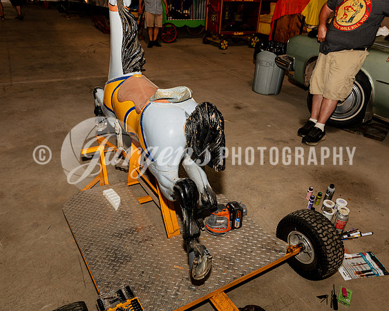 Horse 6 (5)