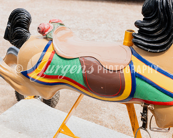Horse 2 (16)