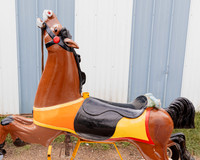 Horse 1 (14)