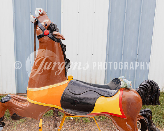 Horse 1 (14)