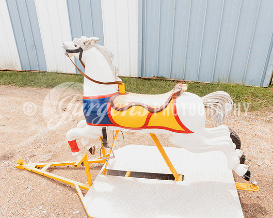 Horse 3 (16)