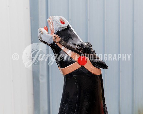 Horse 4 (3)