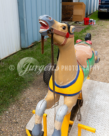 Horse 2 (12)