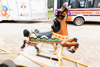 Horse 1 (15)
