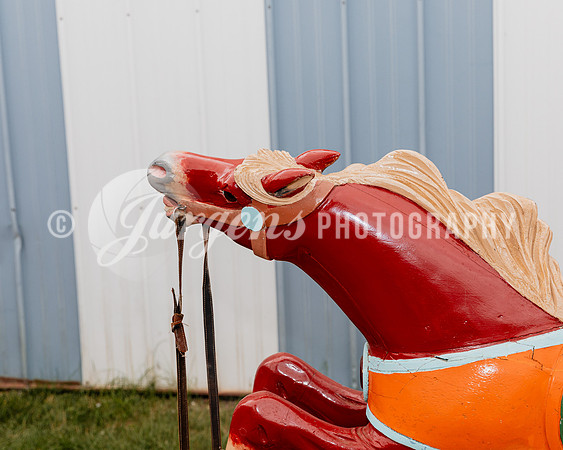 Horse 5 (2)