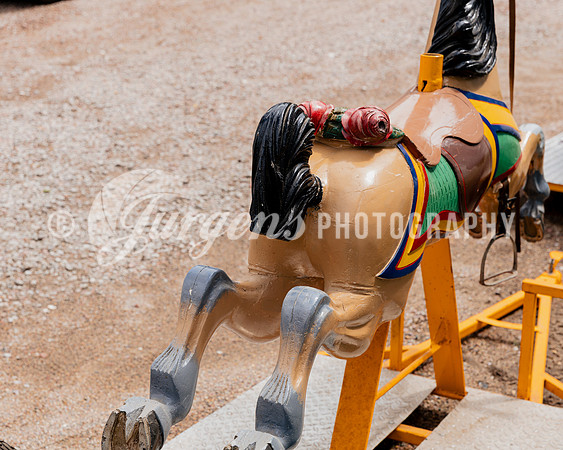 Horse 2 (18)
