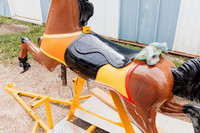 Horse 1 (22)