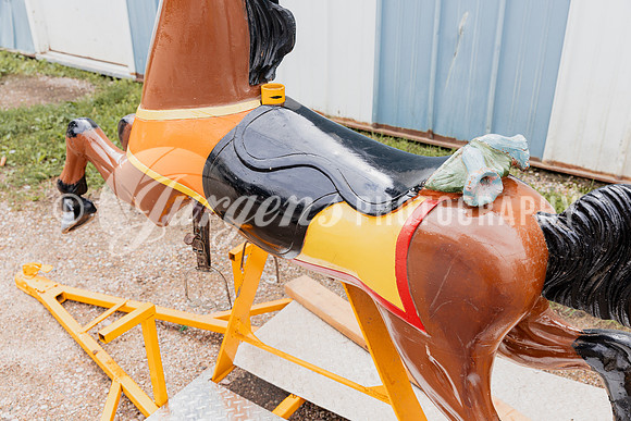 Horse 1 (22)