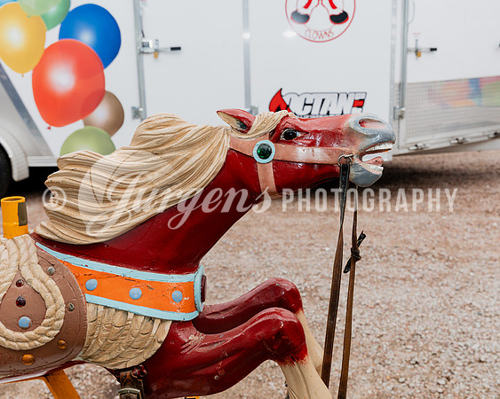Horse 5 (7)