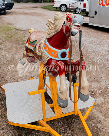 Horse 5 (8)