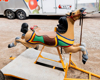 Horse 2 (14)