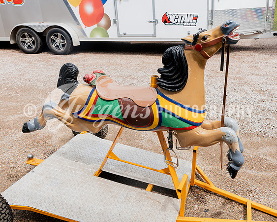 Horse 2 (14)
