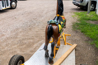 Horse 1 (21)