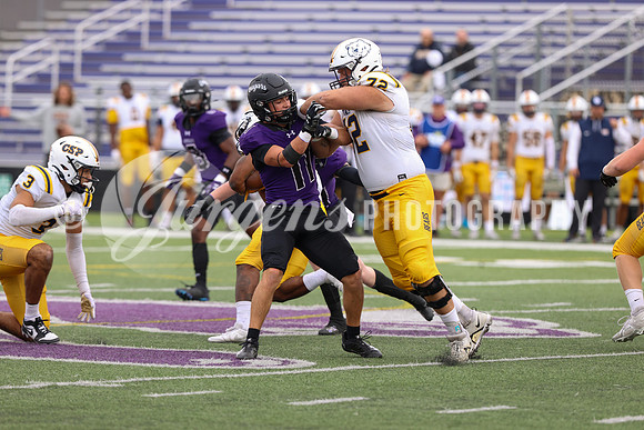 1DX10029