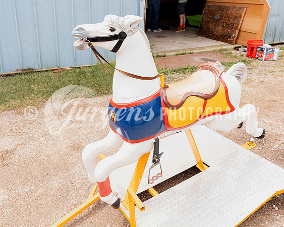 Horse 3 (17)