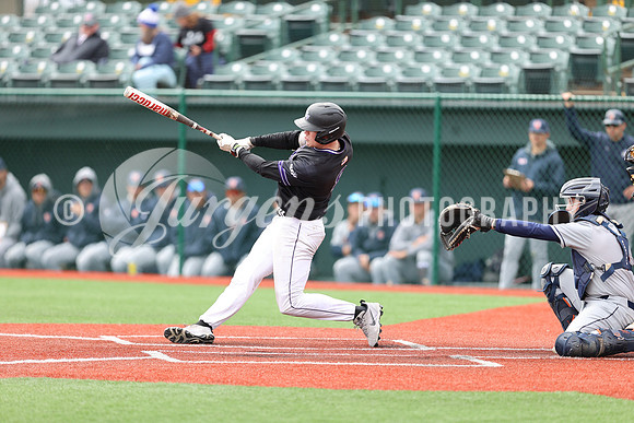 1DX19487