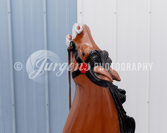 Horse 1 (26)