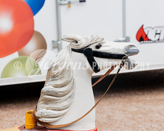 Horse 3 (12)