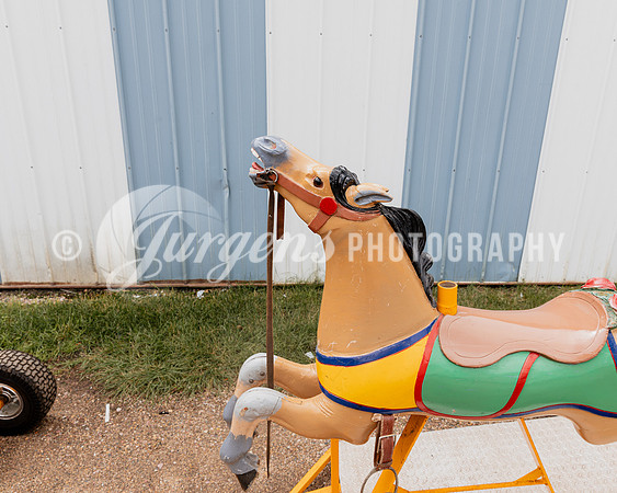 Horse 2 (11)