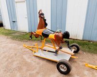 Horse 1 (23)