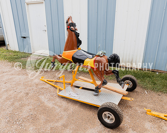Horse 1 (23)