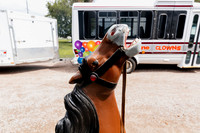 Horse 1 (17)
