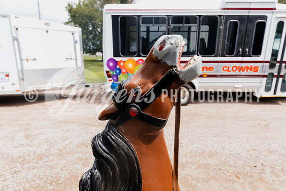 Horse 1 (17)